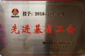 陕煤集团2016-2017年度先进基层工会