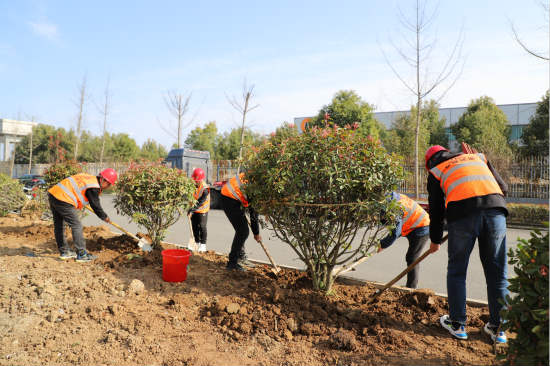 陕煤建设各公司开展义务植树活动