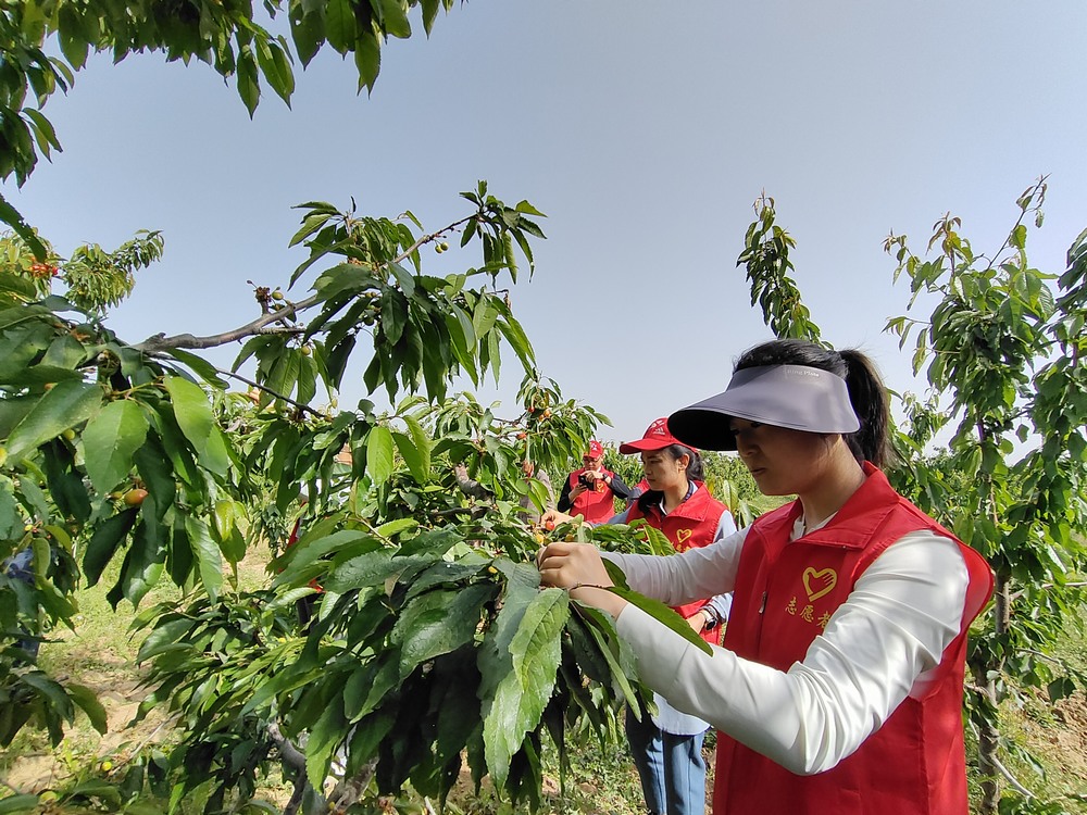 陕煤建设澄合分公司:助力农耕践初心 防灾宣传担使命