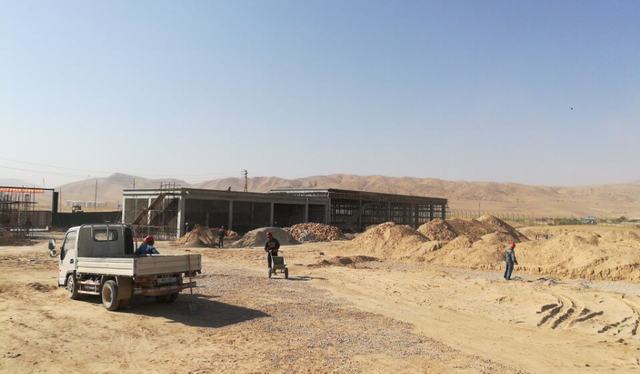 扬帆海外志不渝