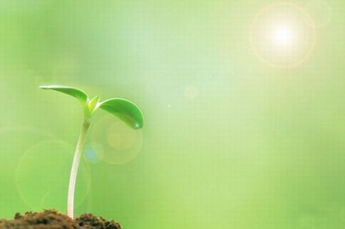 岁生之初，且听我说