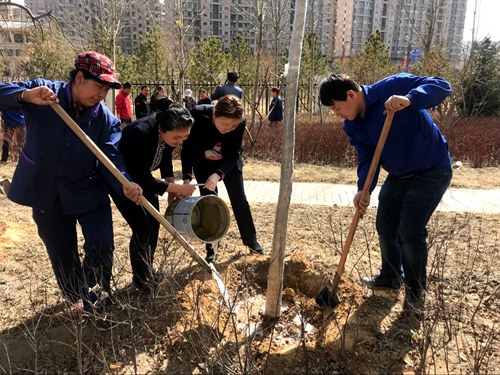 义务植树展风采  我与神南共成长