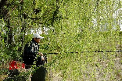 春天，一个多么富有诗意的名字啊！