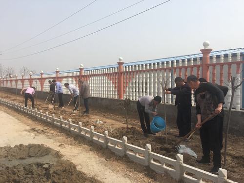 春季绿化为项目部披上“靓装”