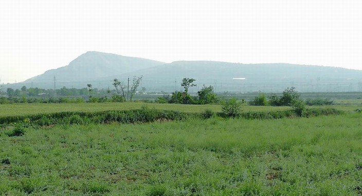 用自己的方式去爱