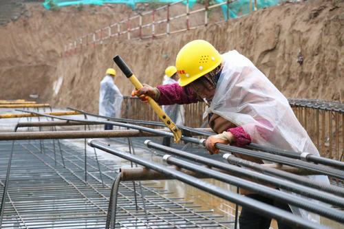 雨天里，“小蜜蜂们”在“筑巢”