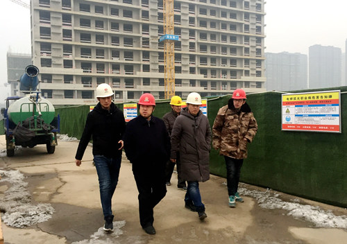 王宁深入蓝山水岸项目检查指导工作