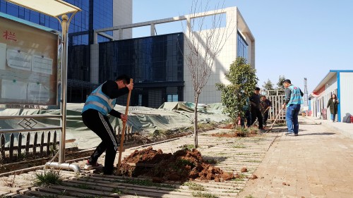 陕煤建设澄合分公司基层单位开展“植树护绿，美丽家园”义务植树活动