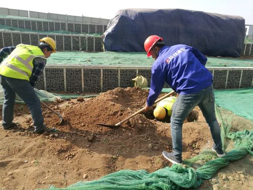 陕煤建设绿宇园林公司:激活“神经末梢”  打响“五小”创新战