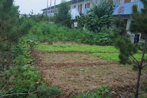 陕煤建设掘进公司：北翼项目部“绿色农场”开张啦