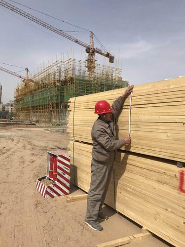 “百日会战”中的铜煤建设人（七）