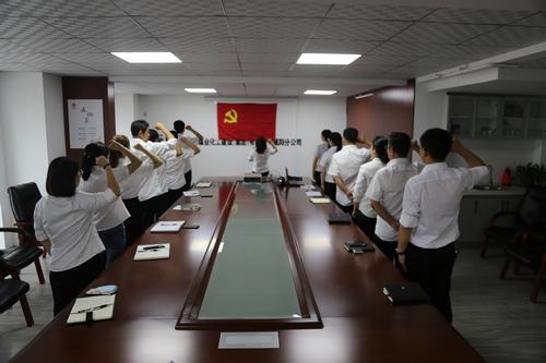 咸阳分公司积极开展“庆七一”主题党日活动