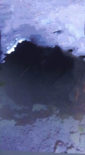 陕煤建设矿建二公司冶坪项目部一采区水仓顺利贯通