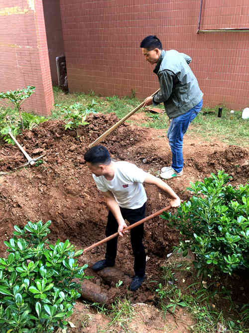 陕煤建设公司：江南世纪城小区为业主创建卫生文明环境