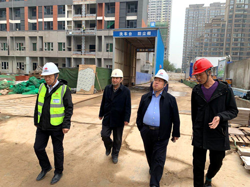 王宁深入蓝山水岸项目检查指导工作