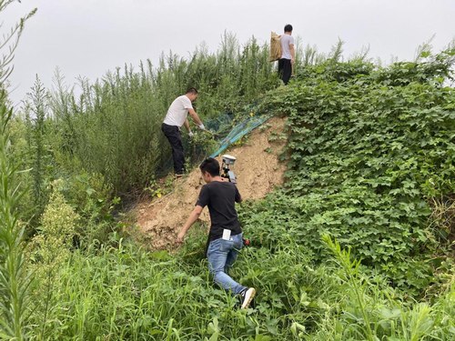 他们是最可爱的人