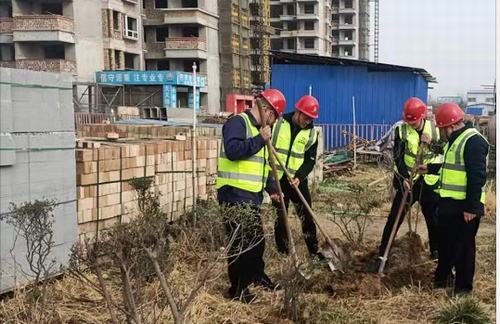 陕煤建设咸阳分公司第五项目部植树活动如火如荼进行中