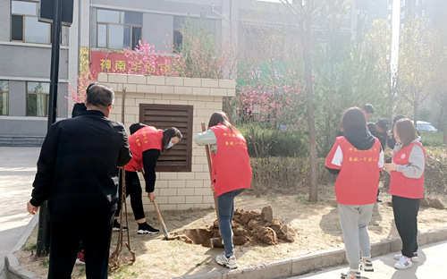 陕煤建设公司:开展绿化补种 打造美好家园