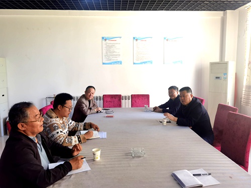 王宁深入神南华府调研指导工作