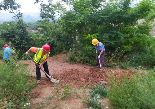 青年突击勇担当,助民防洪显形象