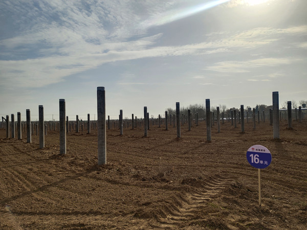 陕煤建设机电安装公司：凝心聚力攻坚光伏项目