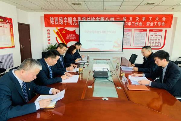 陕煤建设绿宇公司召开党史学习教育专题民主生活会