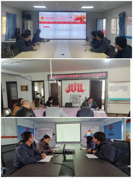 将团的十八届六中全会精神浸入青年职工心田