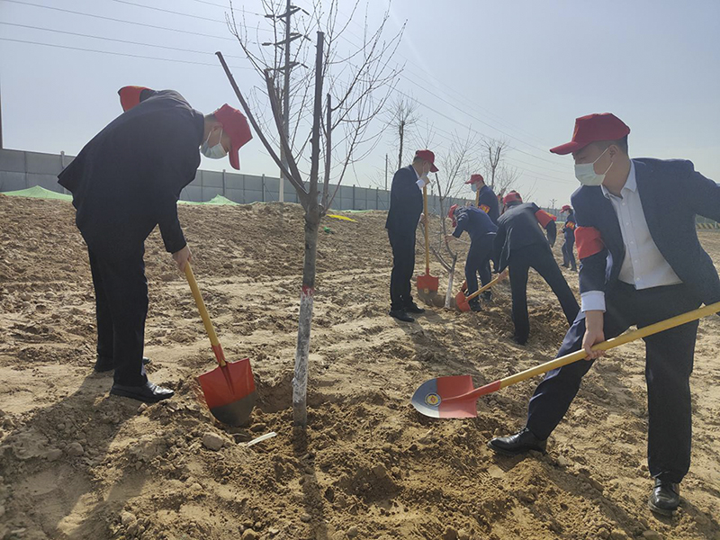 陕煤建设榆林公司开展义务植树活动