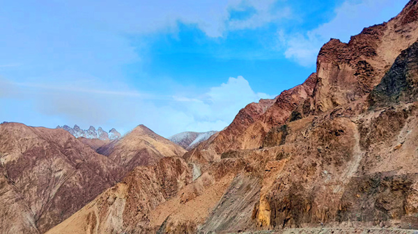 祁连山的风，不小心打翻了春的调色板