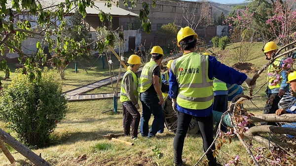 陕煤建设绿宇公司: 王石凹煤矿工业遗址春季添绿忙