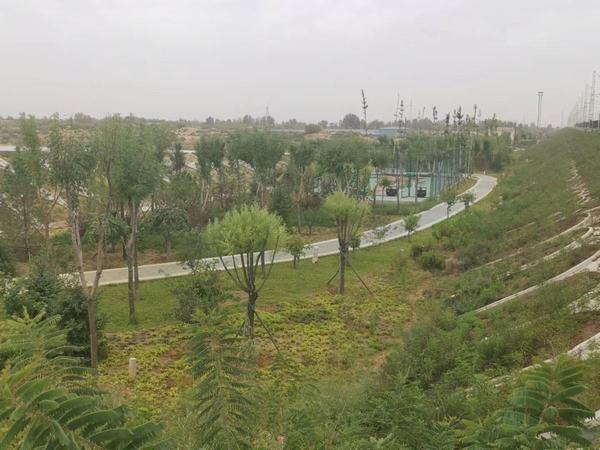 陕煤建设铜煤公司第八项目部承建的靖神铁路站区景观绿化工程顺利通过竣工验收