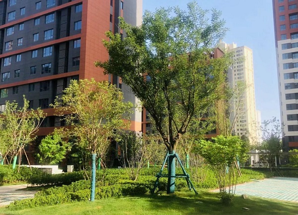 陕煤建设绿宇公司：蓝山水岸项目收尾显担当  大干快干展新颜