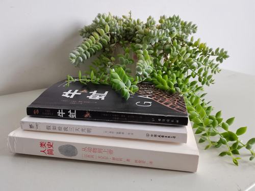 陕煤建设设计研究院开展“以书为伴 悦读人生”读书分享活动