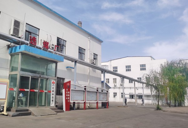 陕煤建设洗选煤运营公司红柳林洗煤厂项目部：绘就“三重底色”推动高质量发展