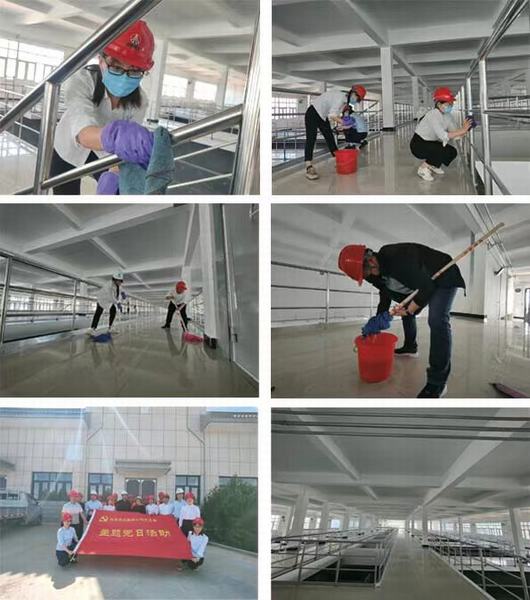 陕煤建设榆林公司开展“美化环境 党员先行” 主题党日活动