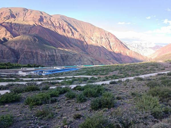 陕煤建设设计研究院赴西藏做好仿生态藏香猪养殖项目现场跟踪服务