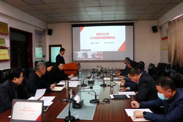 赛场选马 竞择优才