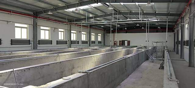 陕煤建设韩城分公司：年终岁末，西藏喜讯接踵而至！