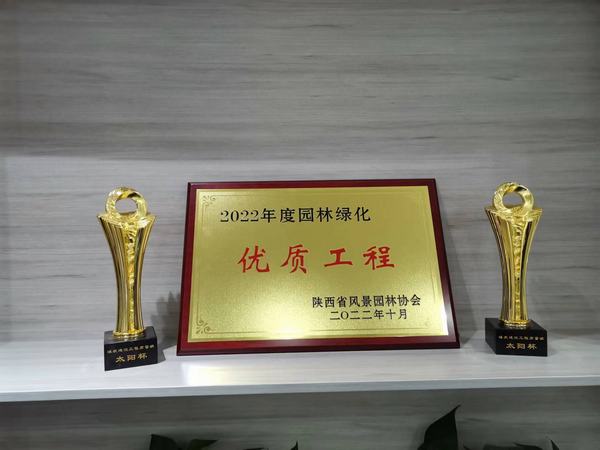 陕煤建设铜煤公司创优收获硕果满枝