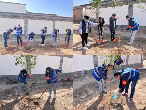 陕煤建设韩城分公司土建四项目部：栽种绿色希望，不负青春时光