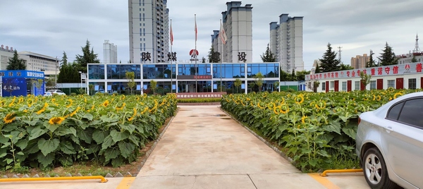 陕煤建设新龙城直属项目部 倾心打造“家文化 让项目部温暖如家