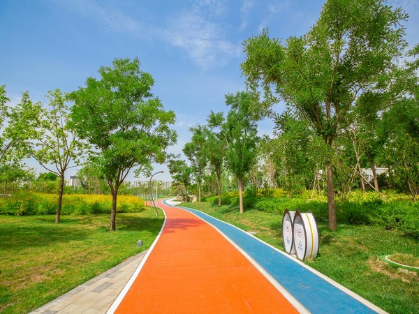 陕煤建设绿宇公司：以廉促干 “融入式”管理助推高质量发展