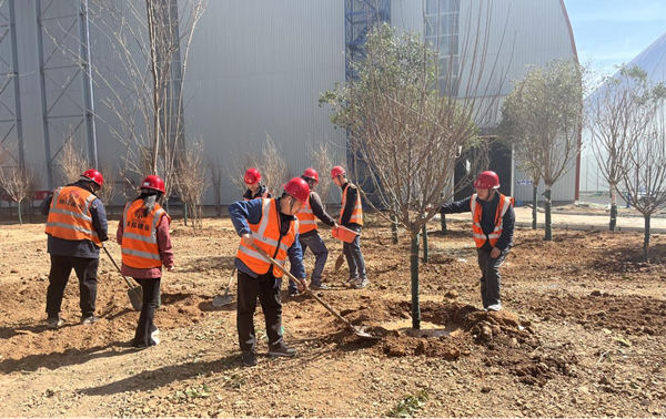 与春天相约，共建绿色家园