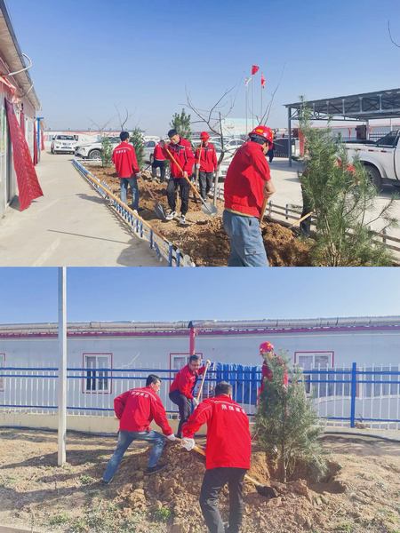 陕煤建设矿建二公司：这个春天 “植”得期待