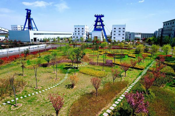 踏寻春天的底色，感知生命的力量