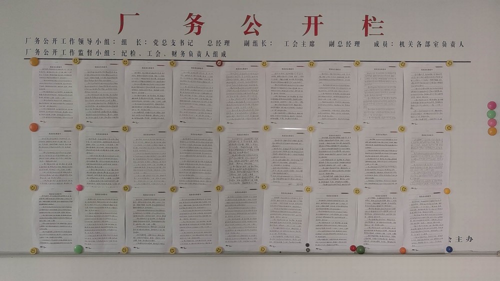 陕煤建设机电安装公司：开展“安全生产 党员先行”主题活动