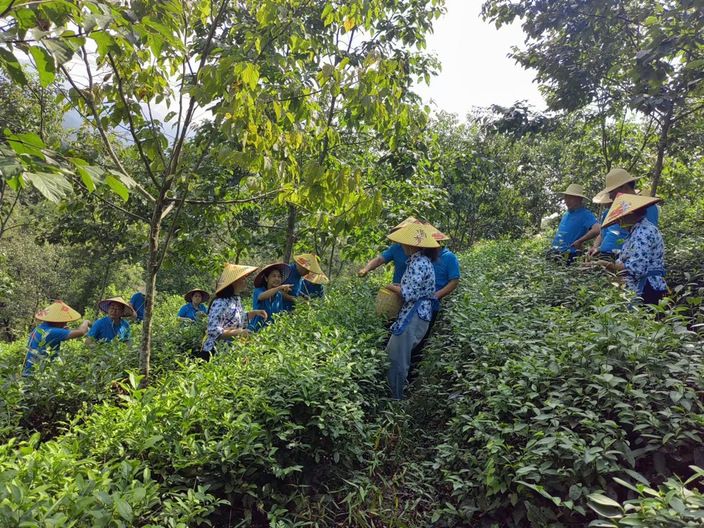 陕煤建设煤矿运营服务分公司：赴天池村开展主题党日活动