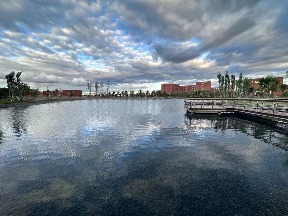 我与企业同成长共繁荣