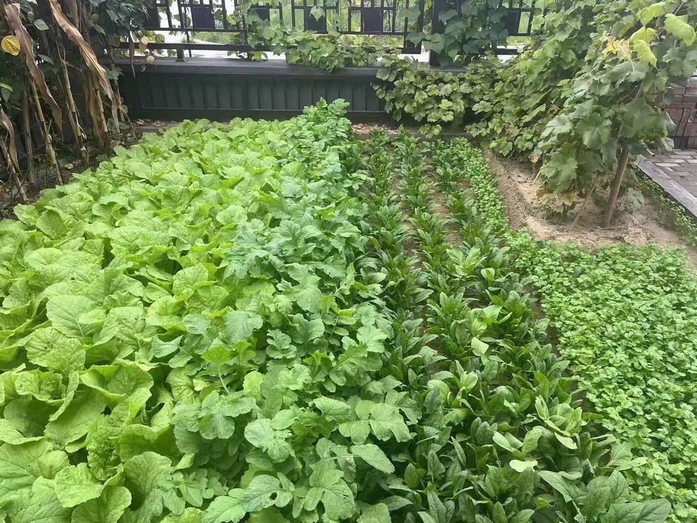 工地之上,家的温度悄然绽放