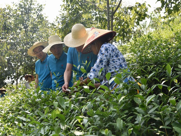 陕煤建设煤矿运营服务分公司：全方位提升职工幸福指数